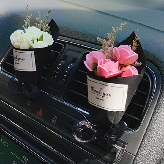 Car diffuser locket