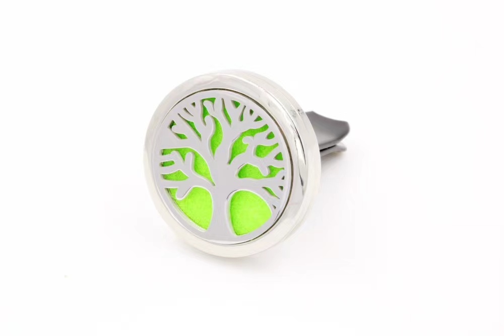 Car diffuser locket